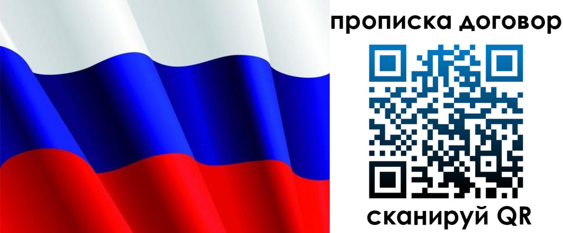 прописка гарантия в Королёве